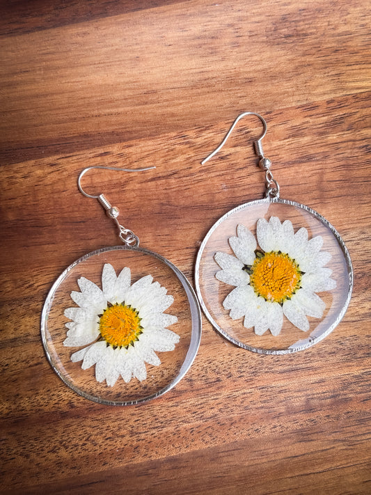 Daisy circles in silver or gold plated