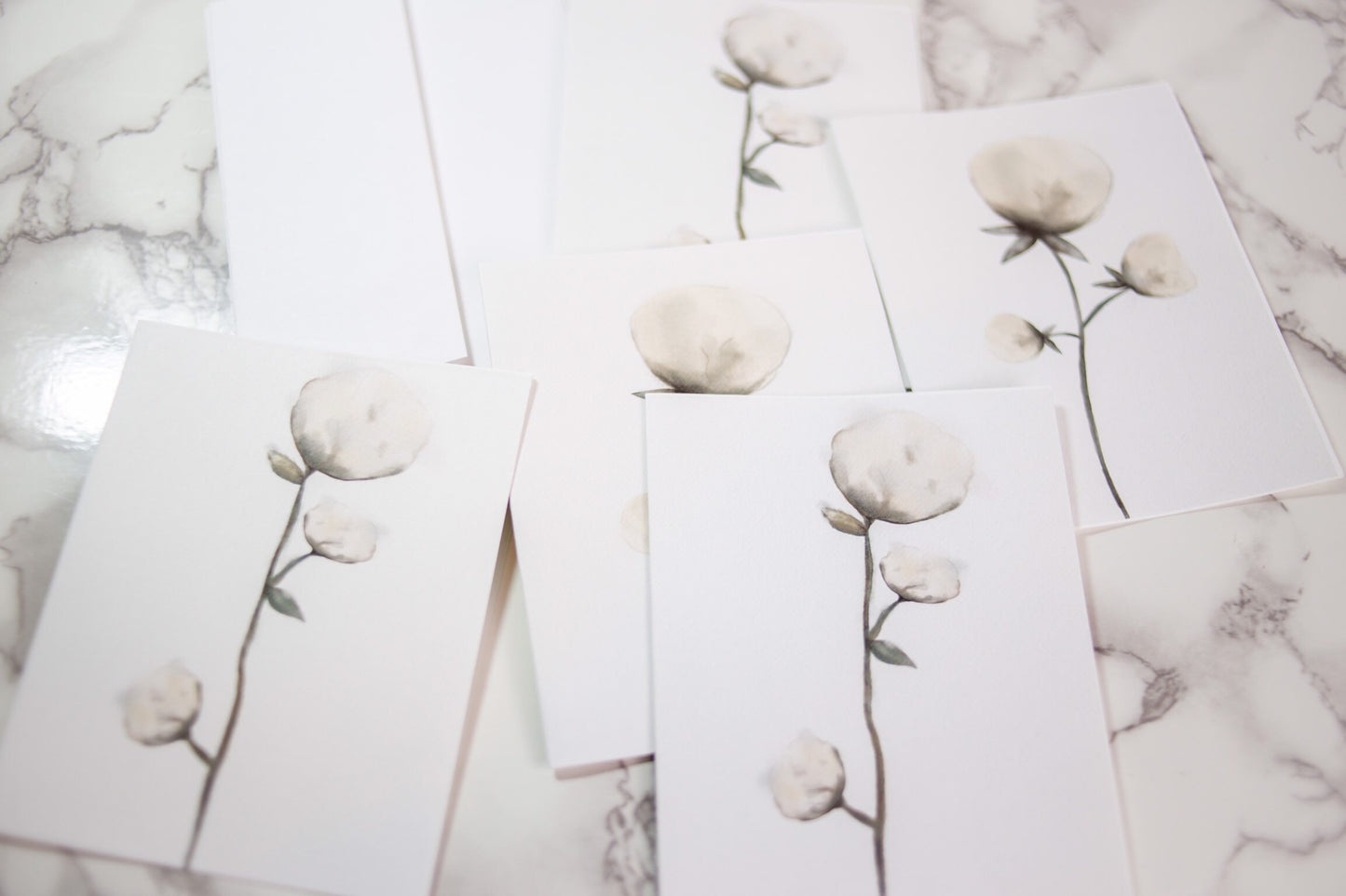 Cotton blossoms notecards, blank inside