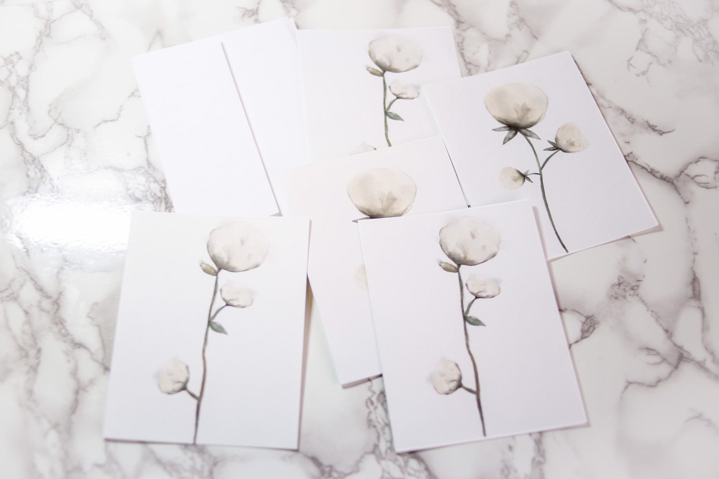 Cotton blossoms notecards, blank inside